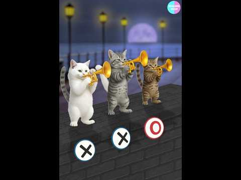 Find the Right Tail🐱🎯/ 맞는 꼬리를 찾아라