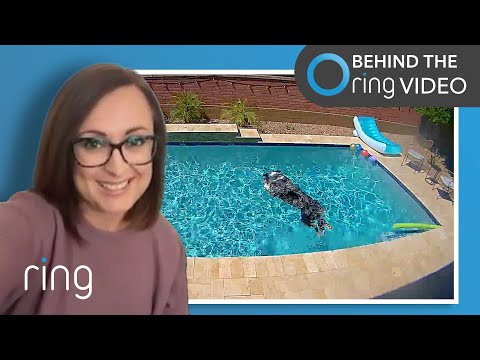 Dog + Pool Equals Endless Fun | Behind the Ring