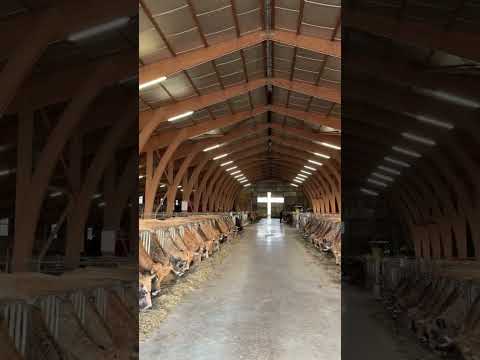 Soutien total à tous nos agriculteurs 🧑‍🌾🤯 #tractor #farming #agriculture