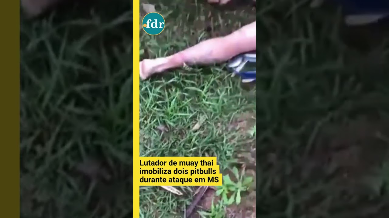 Lutador de muay thai imobiliza dois pitbulls durante ataque em MS