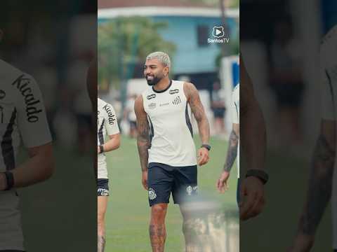 image para ilustrar o artigo