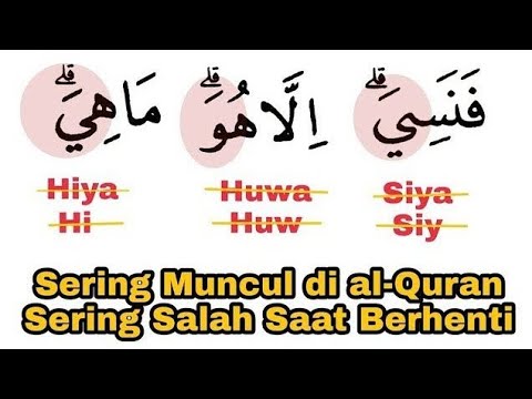Awas Lafaz هو dan هي Sering Salah Baca Saat Berhenti, Ini Sering Muncul, Segera Perbaiki Agar Betul
