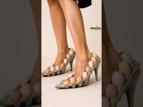 UZALISHAJI WA MAYAI YA KUKU WA MAYAI 2026