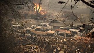 YouTube video thumbnail:  Algeria Adopts law Imposing Death Penalty on Forest Arsonists 