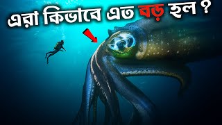 গভীর সমুদ্রের প্রাণীরা কিভাবে এত বড় হল? | গভীর সমুদ্র রহস্য