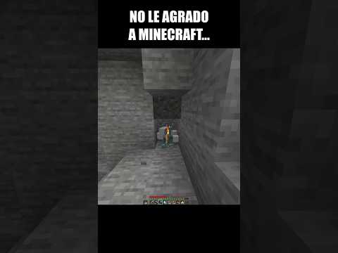 NO LE AGRADO A MINECRAFT... - MINECRAFT