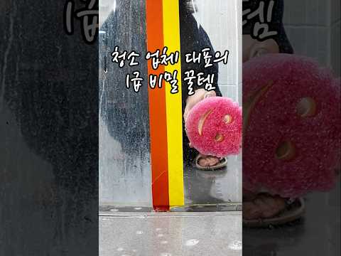 청소 업체 사장님이 목숨걸고 비밀로 하고싶다는 꿀템