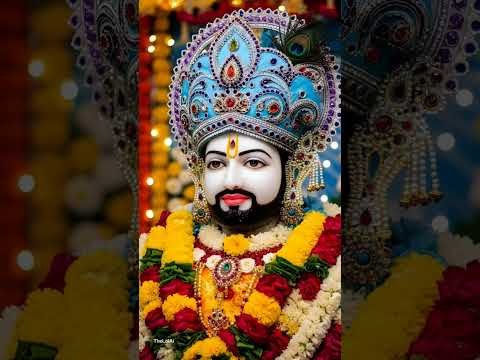 जय श्री श्याम जी जय जी #khatubhajans #shyam #jaishreeshyam #khatushyambhajansanjaymittal