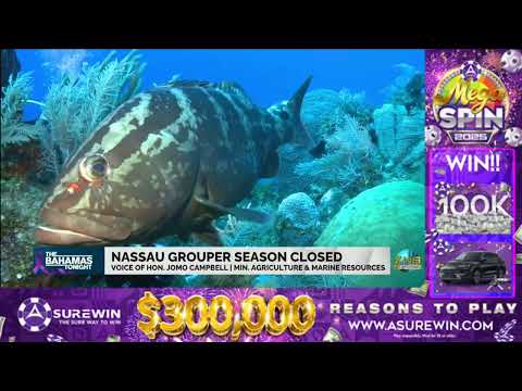 YouTube video thumbnail: Nassau Grouper Season Closed