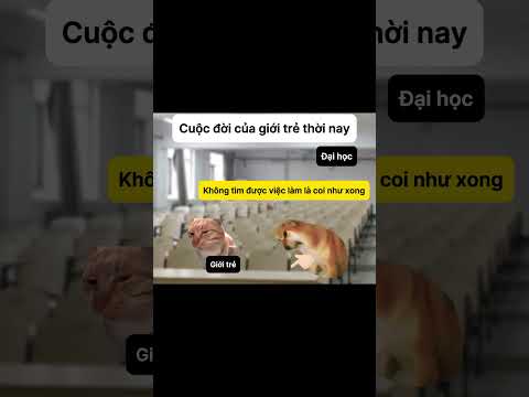 Cuộc đời của giới trẻ thời nay #meme #pet #catmeme #cat