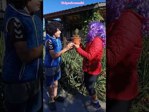 А такой план был хороший! #helgaalexmasiki #comedy #humor #tiktok #reels #family #subscribe #юмор