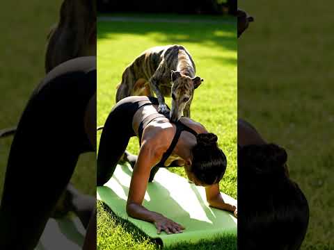 This Is What Dog Love Looks Like 🐶 #goldenretriever #goldenretreiver #puppy #goldenretreivers