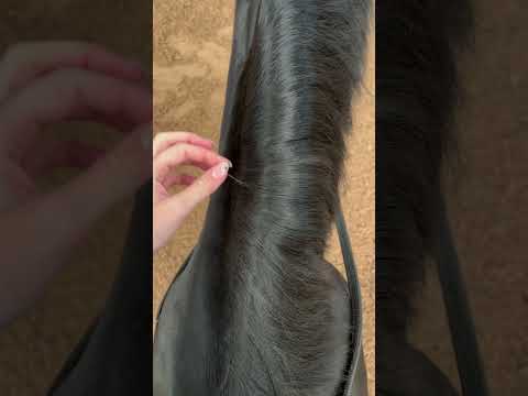 NOT A GREY HAIR