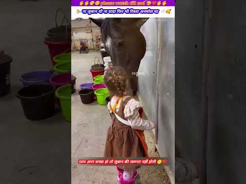 ना जुबान थी ना वादा फिर भी रिश्ता अनमोल था 🐎💓 #animal #animals #animallover #horse