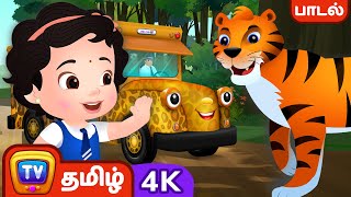 நாங்க காட்டுக்கு போறோம்( Forest Wild Animals Song) - Tamil Rhymes in 4K for Kids | ChuChu TV