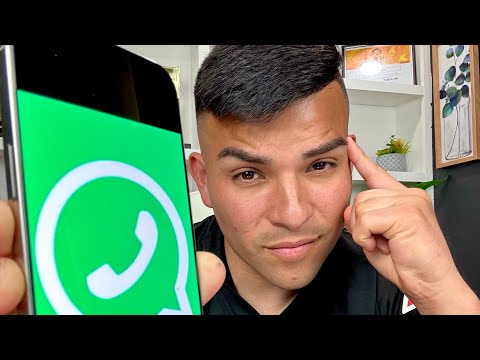 Nueva función de WhatsApp y te muestro las funciones más importantes para evitar que roben tu cuenta
