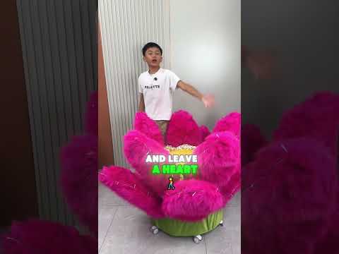 Lang Lang actually made a lotus sofa this time#funny #shorts  #amazing