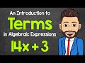 Introduction to Terms in Algebraic Expressions