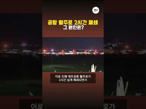 공항 활주로 2시간 폐쇄 그 원인은?