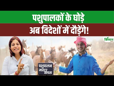 HorseFarming: भारत के घोड़े अब इंटरनेशनल गेम्स में, किसानों को मिलेगा निर्यात और कमाई का नया मौका