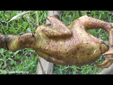 Gà nướng dân tộc Dao - thơm ngon | Nhịp Sống Núi Rừng