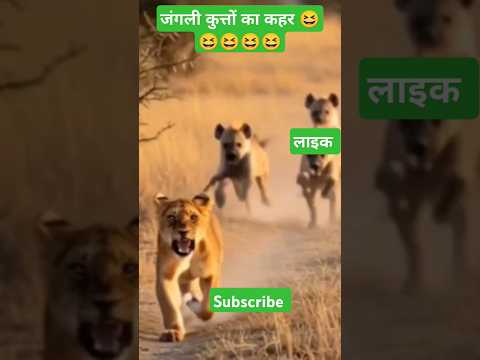 😱 ओह माय गॉड जंगली कुत्तों का कहर शेर की दौड़ 😱 जंगल में हड़कंप #shorts #junglefight #cartoon