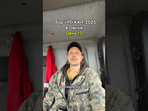 Воры на поле #сельскоехозяйство