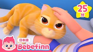 ねこの うた🐈 猫ちゃんから始まる動物メドレー🐾🎶 | どうぶつのうた | ねこの うた、ブーのあさごはん他 | 赤ちゃんが喜ぶ歌 | べべフィン Bebefinn - 子どもの歌