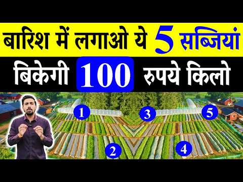 किसान भाइयों 80 से 100 रुपए किलो बिकने वाली ये 5 बरसाती सब्जियां जरूर लगाओ ! Sabji Ki Kheti