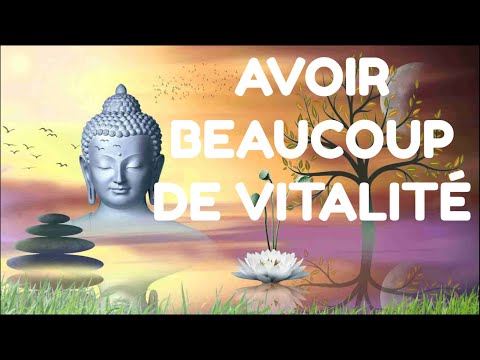 AVOIR BEAUCOUP DE VITALITÉ