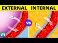Respiration Processes and Functions