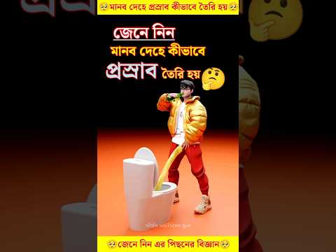মানব দেহে প্রস্রাব কীভাবে তৈরি হয় #facts #knowledge