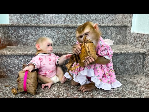 Monkey Kaka and Mit secretly ate the Banh Gai their mom just bought