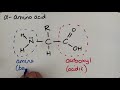 Amino Acids and Their Reactions