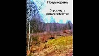 Подъкорень. Альбом Опрокинуть асфальтовый таз.