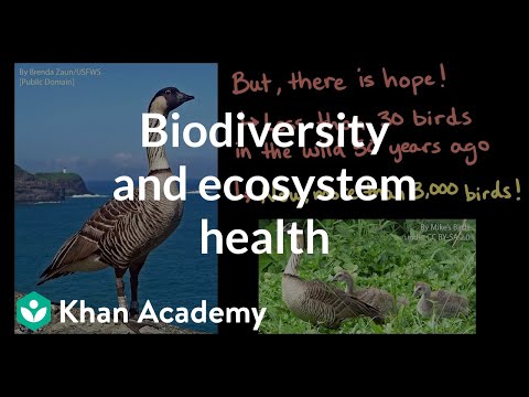 Biodiversity and ecosystem health: a Hawaiian Islands case study | Khan Academy