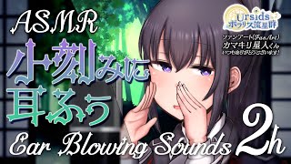 [ASMR] 2時間ずっと！小刻みに耳ふぅ/ Short & Snappy Ear Blowing Sounds #01 [ 声なし | No Talking ]