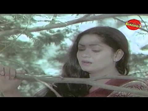Swathu (1980) Non Stop Malayalam Movie Songs | Music  By G Devarajan
