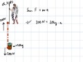 Forces and Motion Concepts