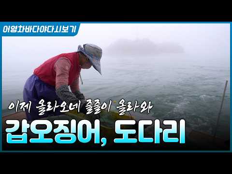 일흔 넘은 부부에게 바다가 준 푸짐한 선물