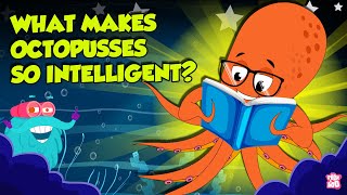 Most Intelligent Animal | What Makes Octopuses so Intelligent? | Do Octopuses Share DNA with Humans?
