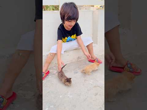 omer ki chunu munu mil gy#shorts #viralvideo
