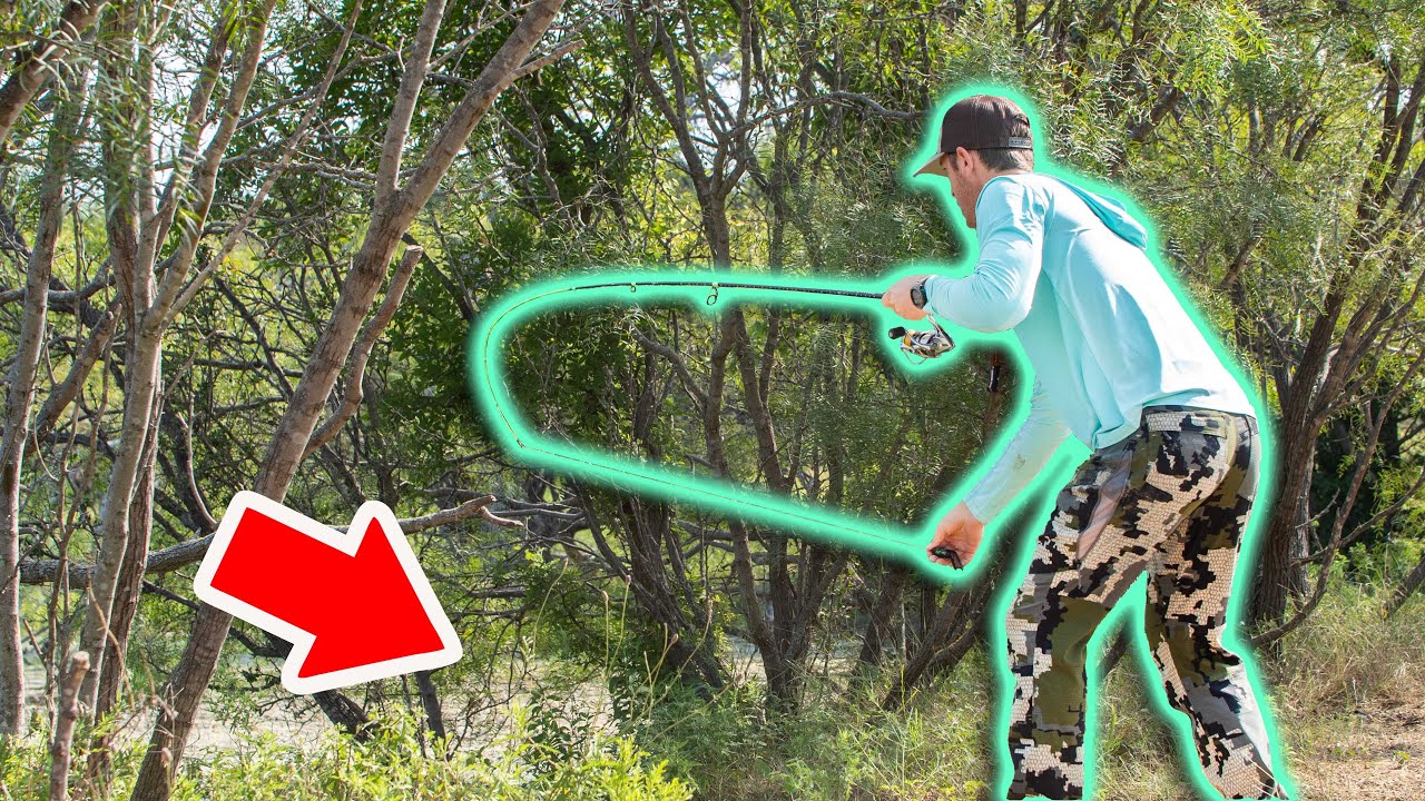 Bank Fishing for Bass HIDING UNDER TREES!