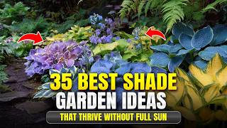 35 Best Shade Garden Ideas That Thrive Without Full Sun
