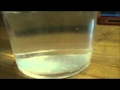 Sugar Dissolution Experiment Analysis