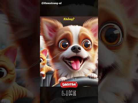 Chơi cảm giác mạnh #Chihuahua #cute #memes