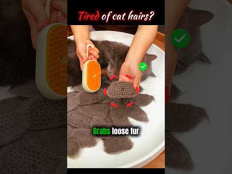 This Grooming Brush Solves Cat Hair