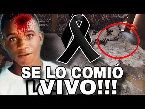 🛑SANTÍSIMO JESÚS!!! EL DICRIM SE LO COMIÓ V1V@
