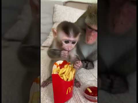 Just enjoying it #frenchfries #asmr #foodasmr #fyp