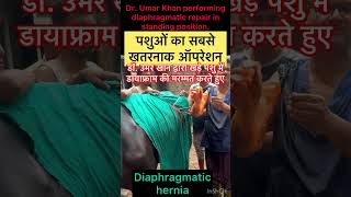 Diaphragmatic hernia l dr Umar Khan